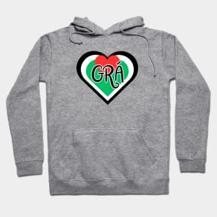 Grá = Love  - Irish Language Designs - Irish Palestinian Flag Hoodie